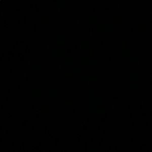 Meet your Posher, Lucy